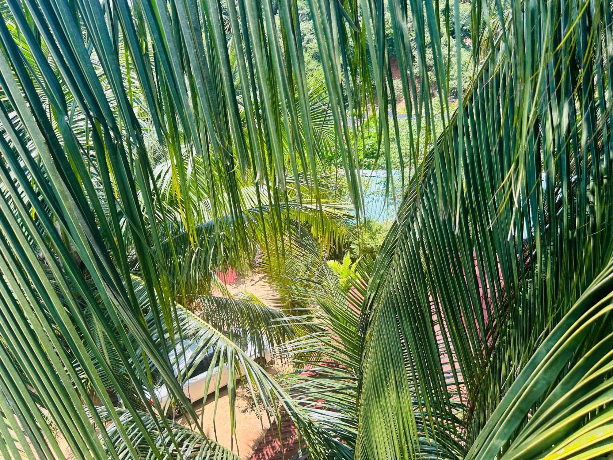 Pearl Bungalow Trincomalee Ngoại thất bức ảnh